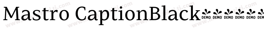 Mastro CaptionBlack字体转换